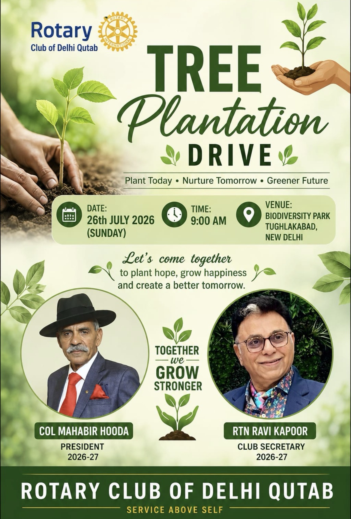 Tree Plantation