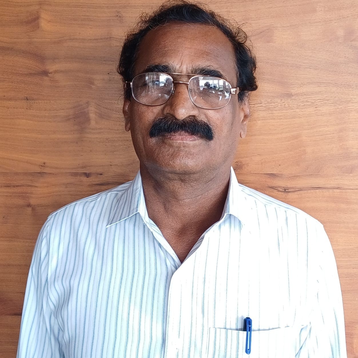 Birelli Narsingh Rao