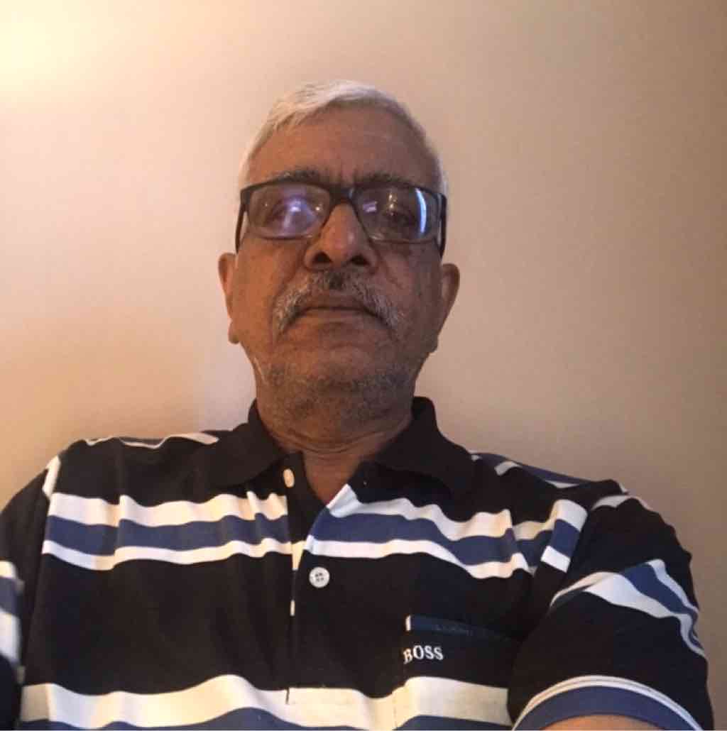 V. N Krishnan