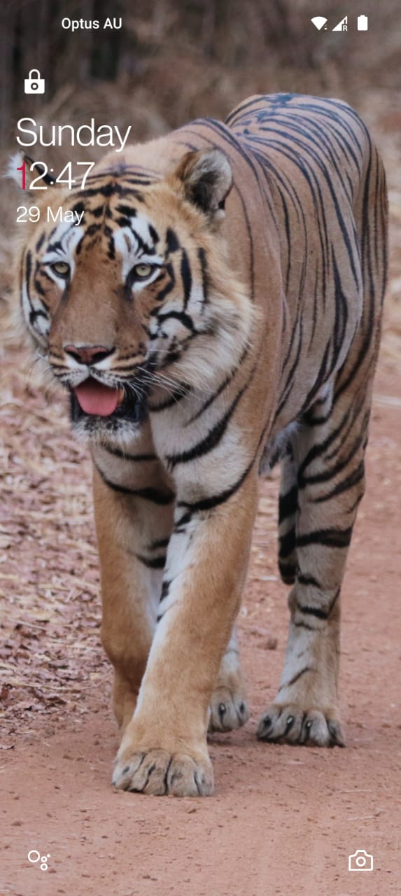 Anjan Bhattacharya