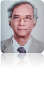 Damodaran B