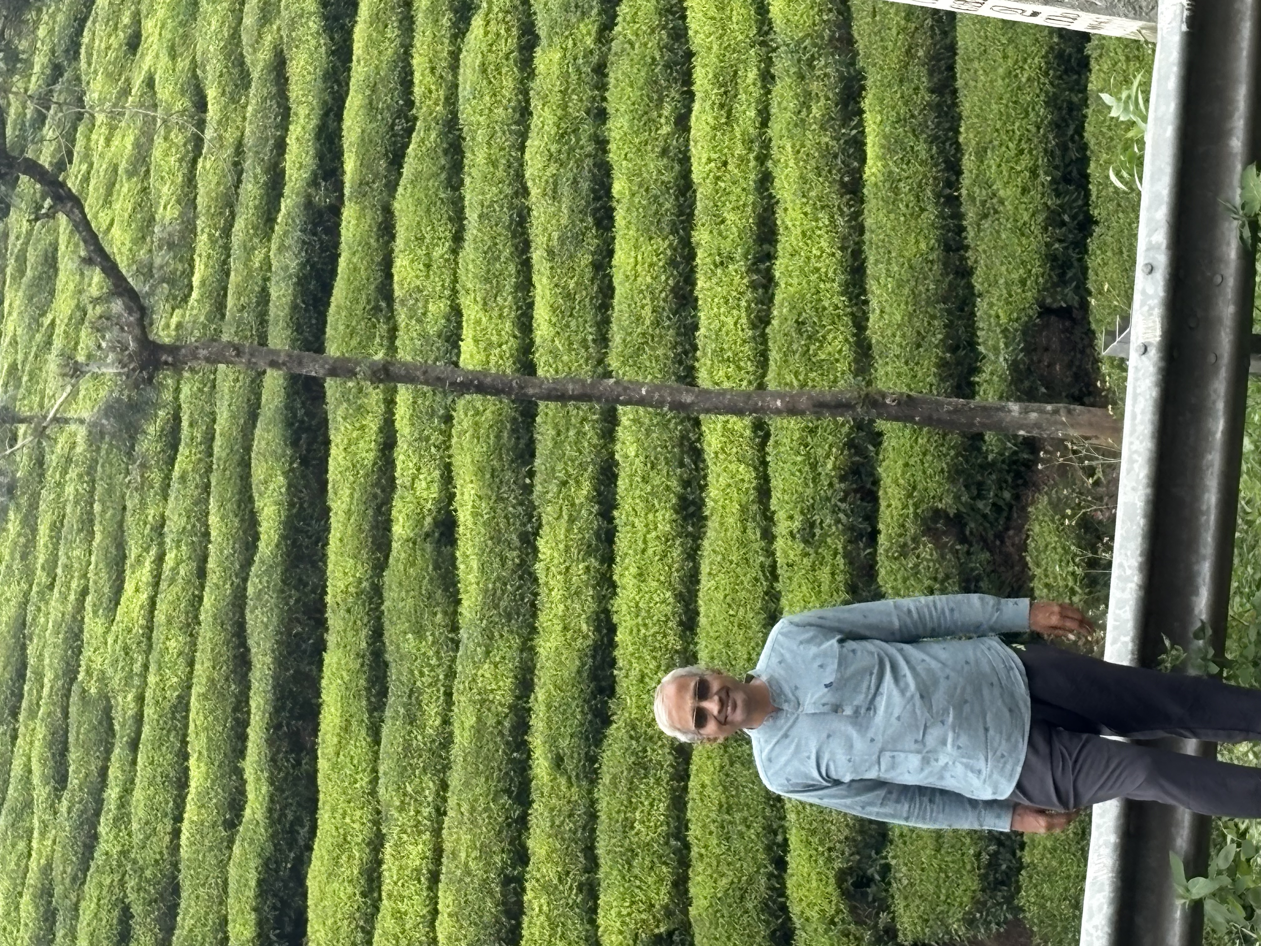 Murali K.V.