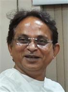 Mr. Pulak Mishra