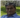 Tapan Kumar Haldar