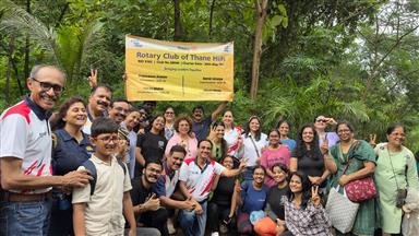 TREE PLANTATION