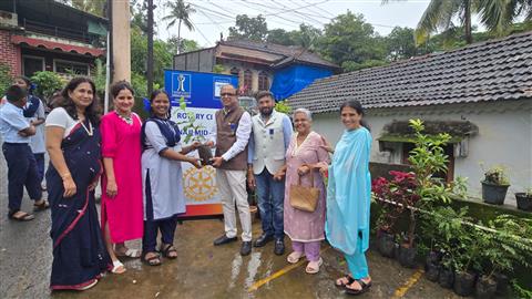Tree Plantation St.A loysius High School Diwar Goa