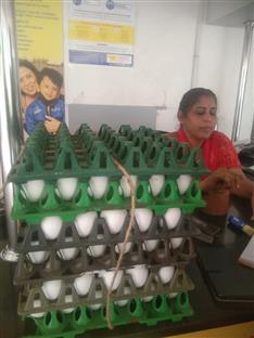 Food Donation