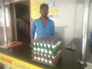 Egg Donation