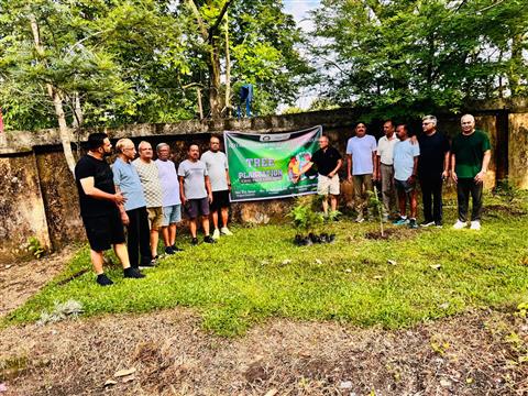 Tree Plantation Drive