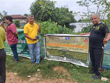 Zonal Plantation