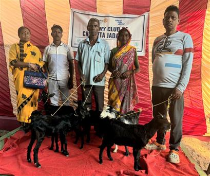Livelihood support through livestock distribution