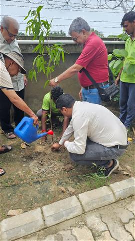 Tree Plantation @ Future Foundation Sports Complex