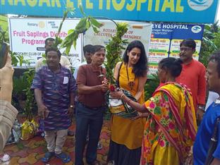 Tree Fruit Sapling distribution