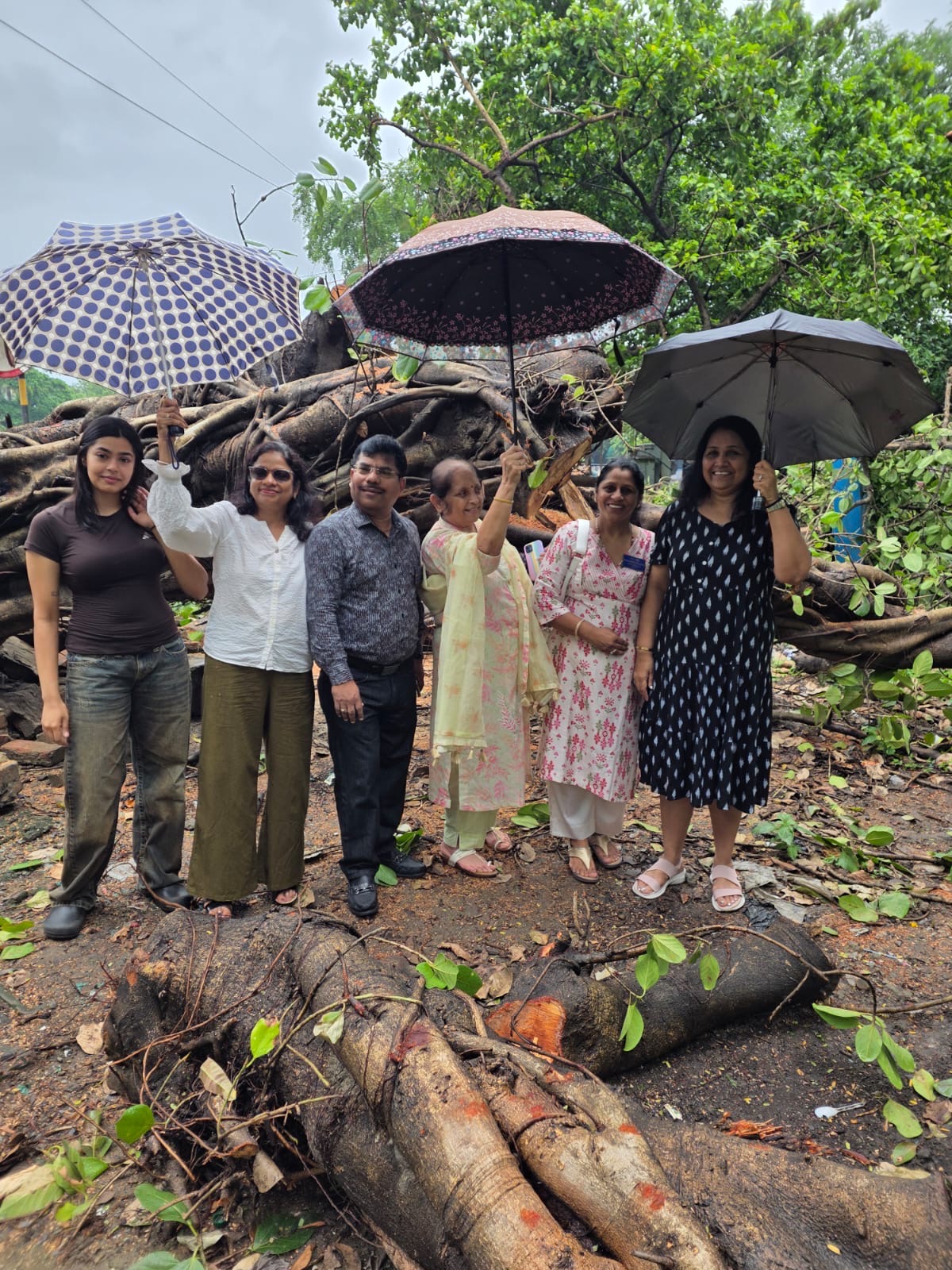Tree-Re Planting & Care Project