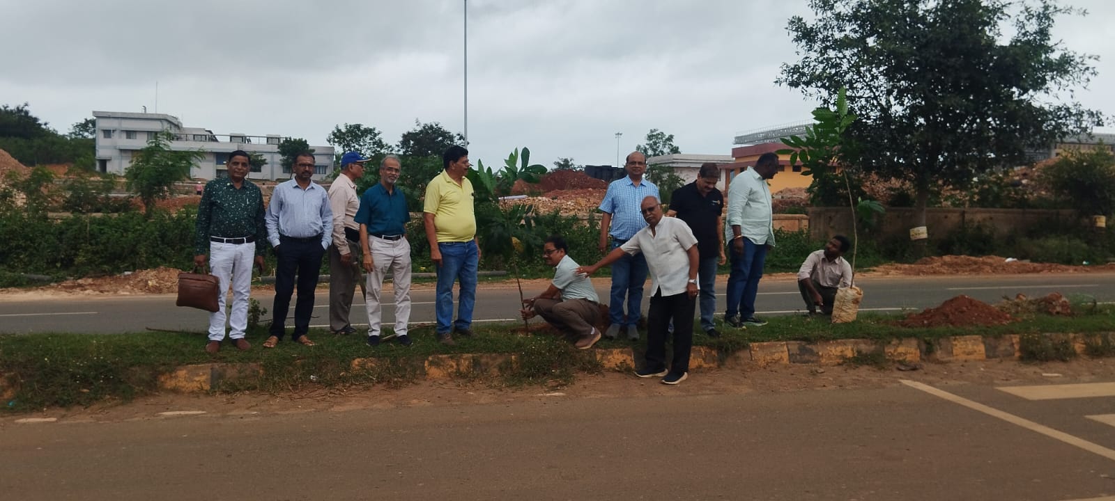 DISTRICT TREE PLANTATION DRIVE