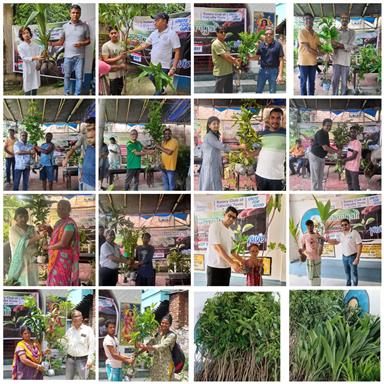 Distribution of Fruit Bearing Plant Saplings