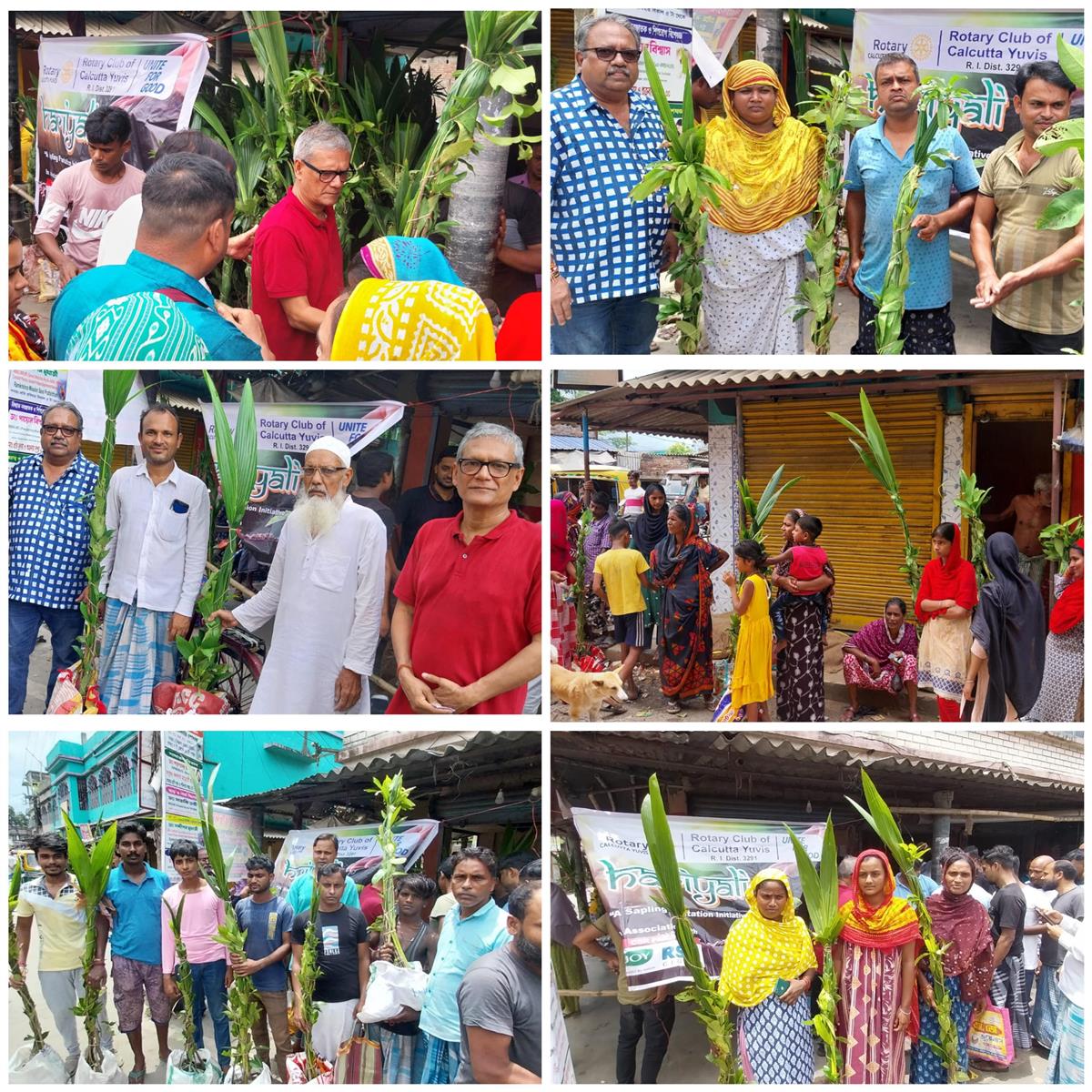 Distribution of Fruit Bearing Plant Saplings