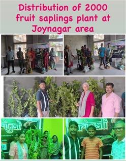 Distribution of Fruit Bearing Plant Saplings