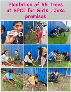 Tree Plantation at SPCI, Joka