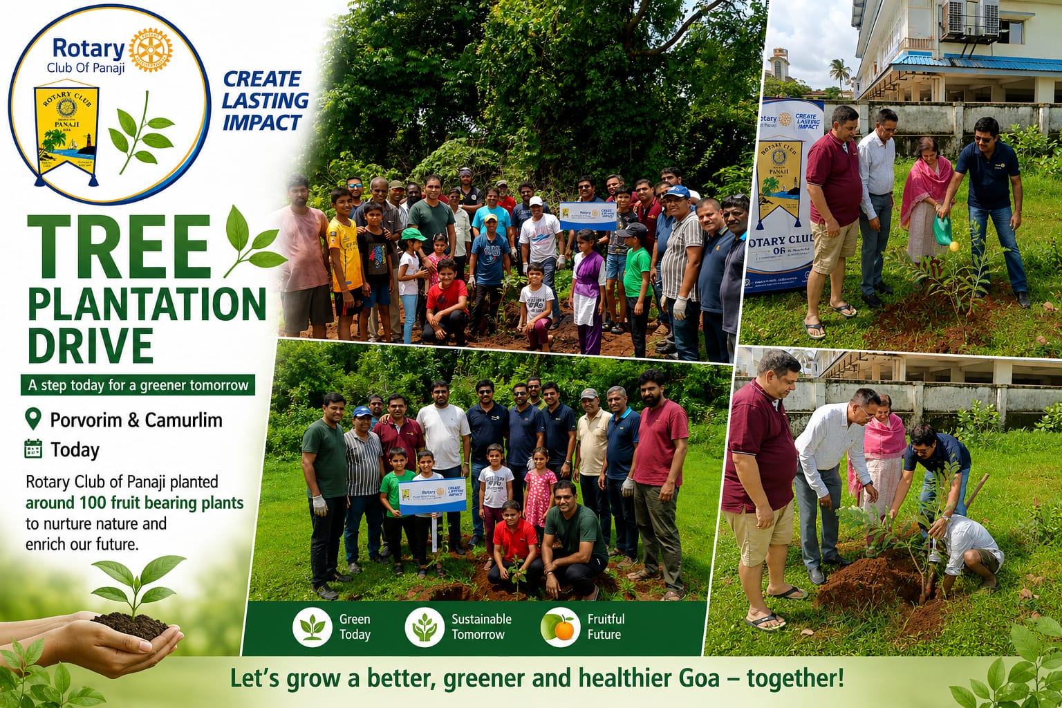 Tree Plantation