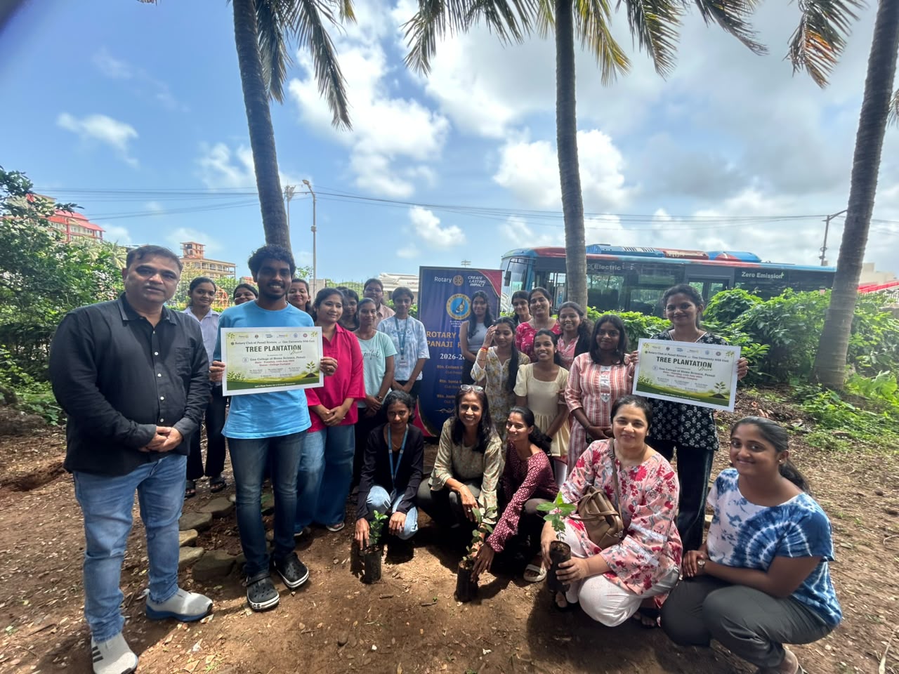 Tree Plantation