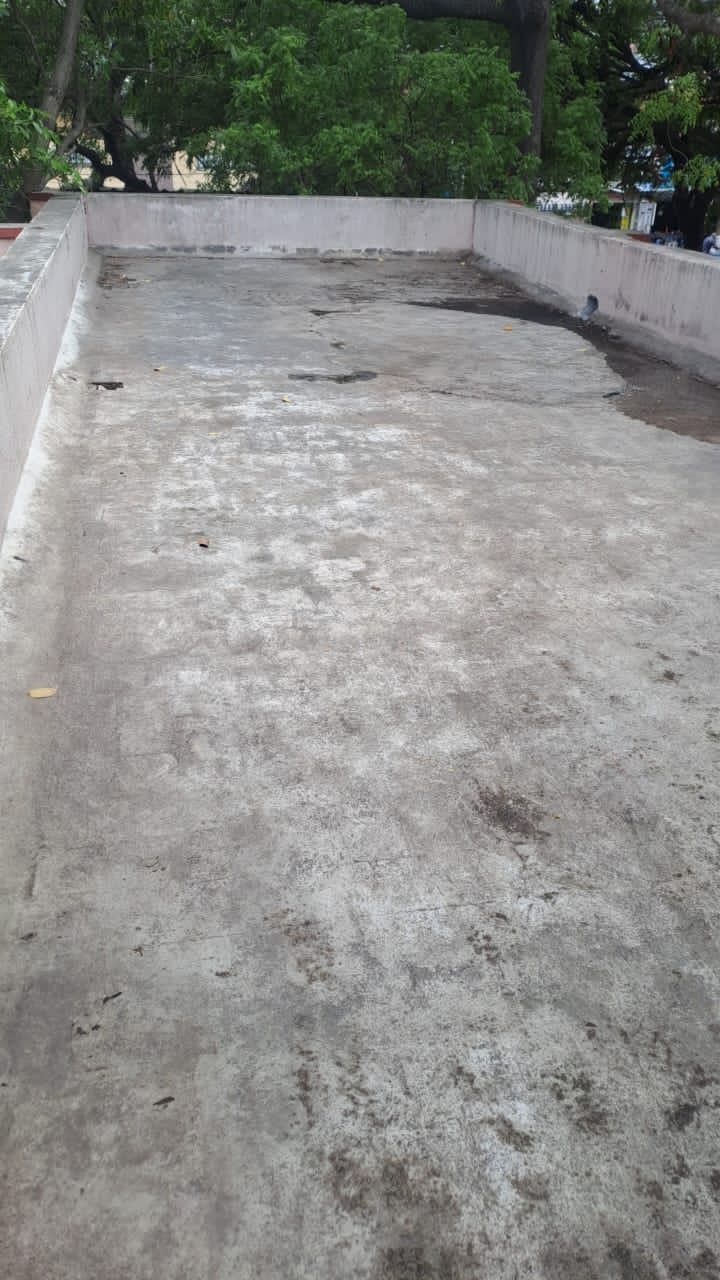 CLEANING DRIVE OF OUR ROTARY CLUB PREMISES