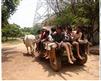 Rotary Nagar Children Visited Farm Guru