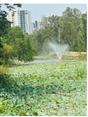 The Majestic Pond Project was inauguration