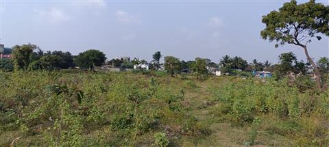 Medavakkam Lake Visit