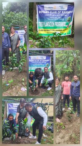 Tree Plantation Project at Raiganj