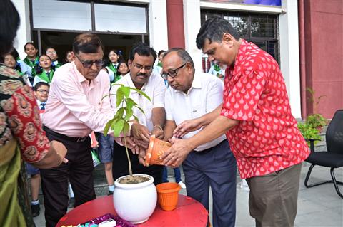 Tree Plantation Project