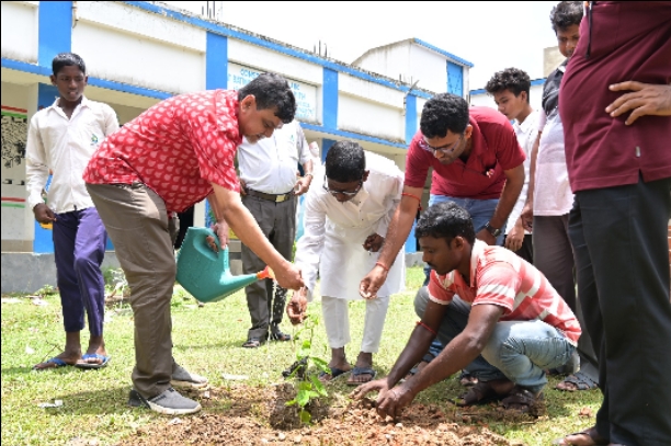 Tree Plantation