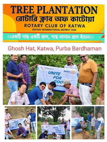 TREE PLANTATION