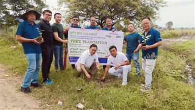 Rotary Tree Plantation Programme
