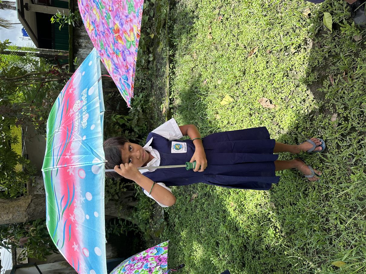 Umbrella distribution