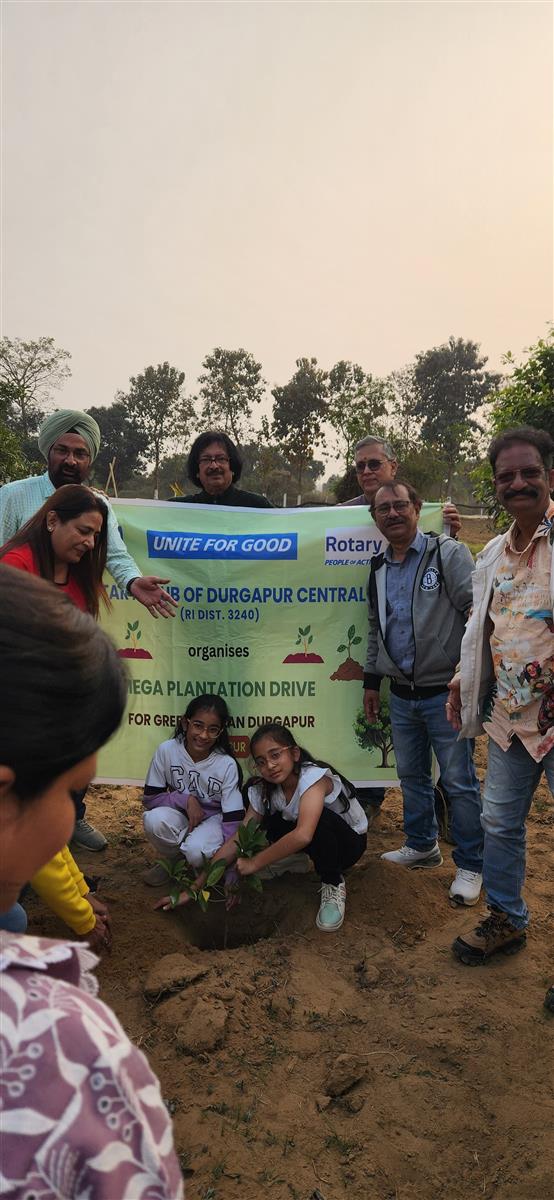 Tree Plantation Drive