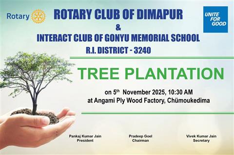 TREE PLANTATION PROJECT