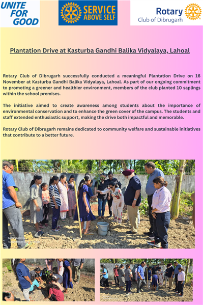 plantation drive