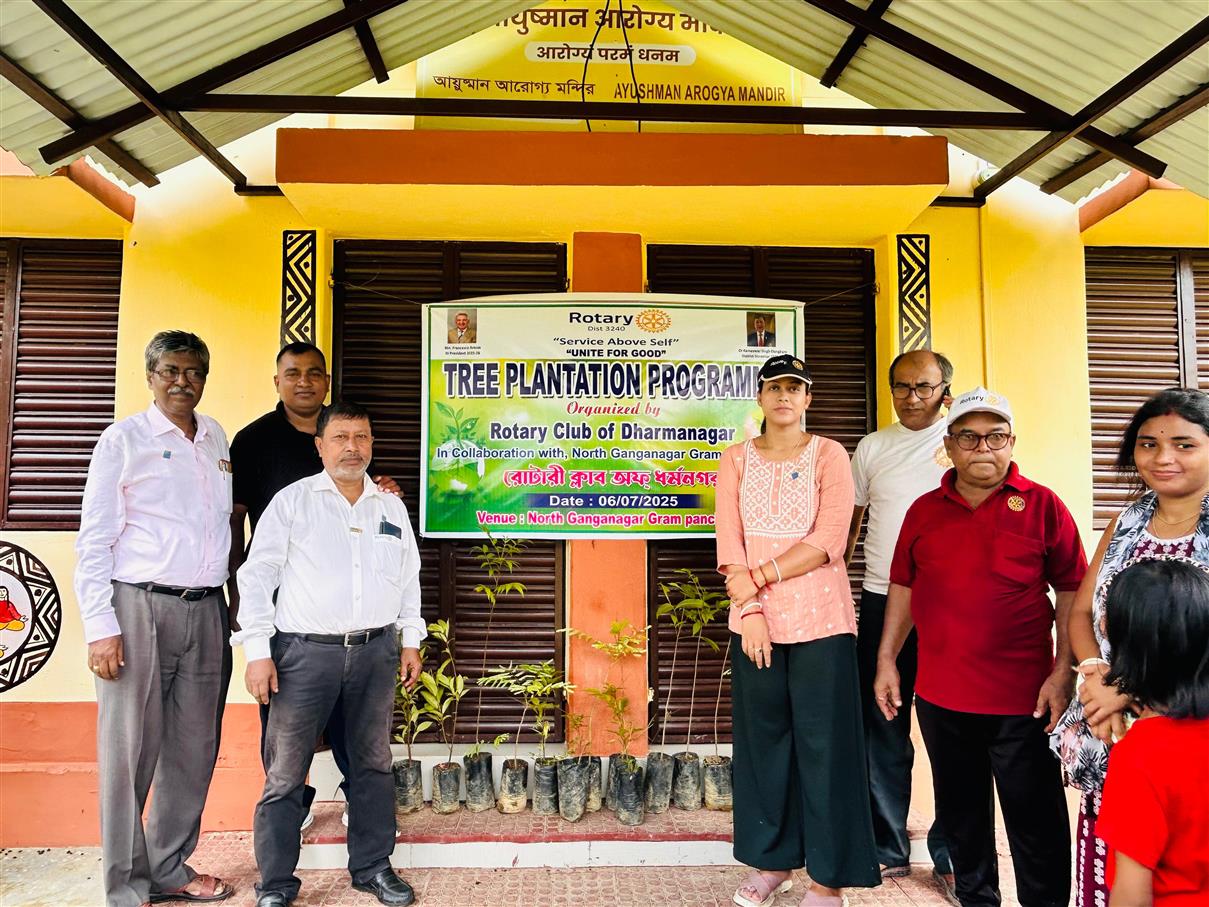 TREE PLANTATION