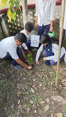 Tree plantation with intaract qclub
