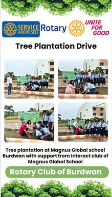 Tree Plantation Drive