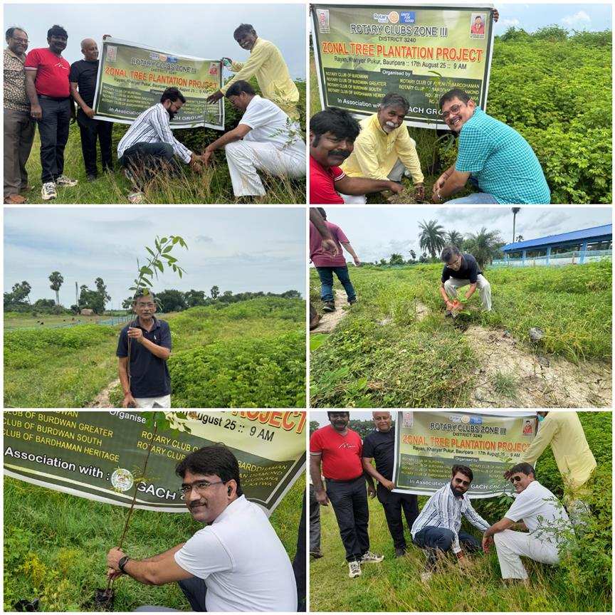 Zonal Tree Plantation
