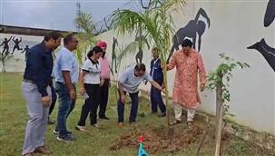 2nd Phase Tree Plantation Drive