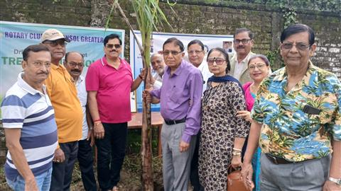TREE PLANTATION