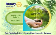 Tree Plantation Programme