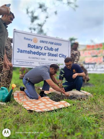 TREE PLANTATION UNDER S.H.E. PROJECT