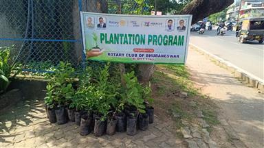 plant distribution at Rotary bhavan