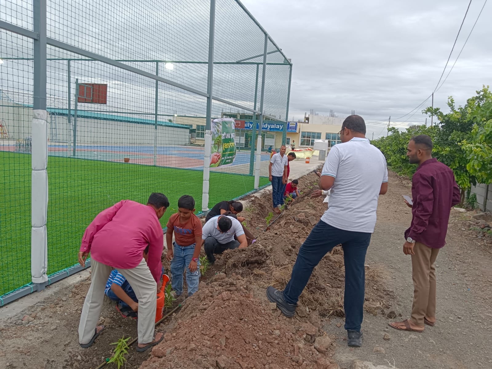 Tree Plantation