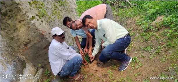 Tree plantation program 