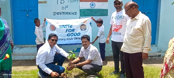 Tree plantation program 